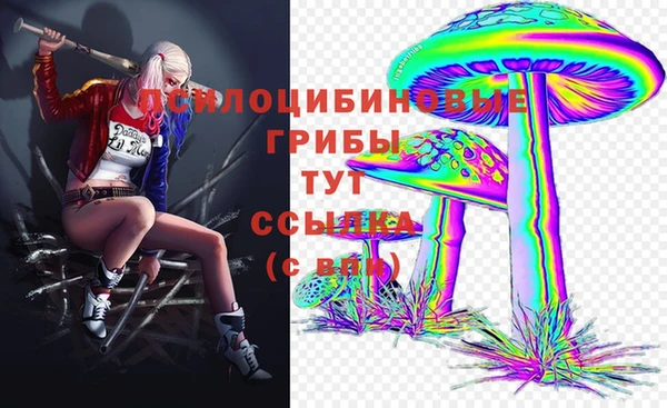ешки Вяземский