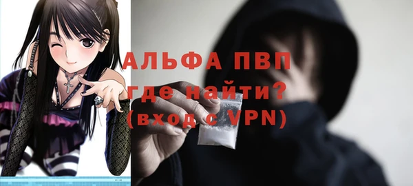 ешки Вяземский