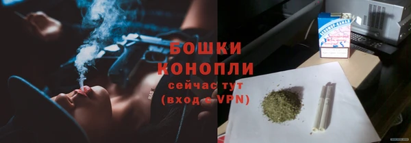 ешки Вяземский