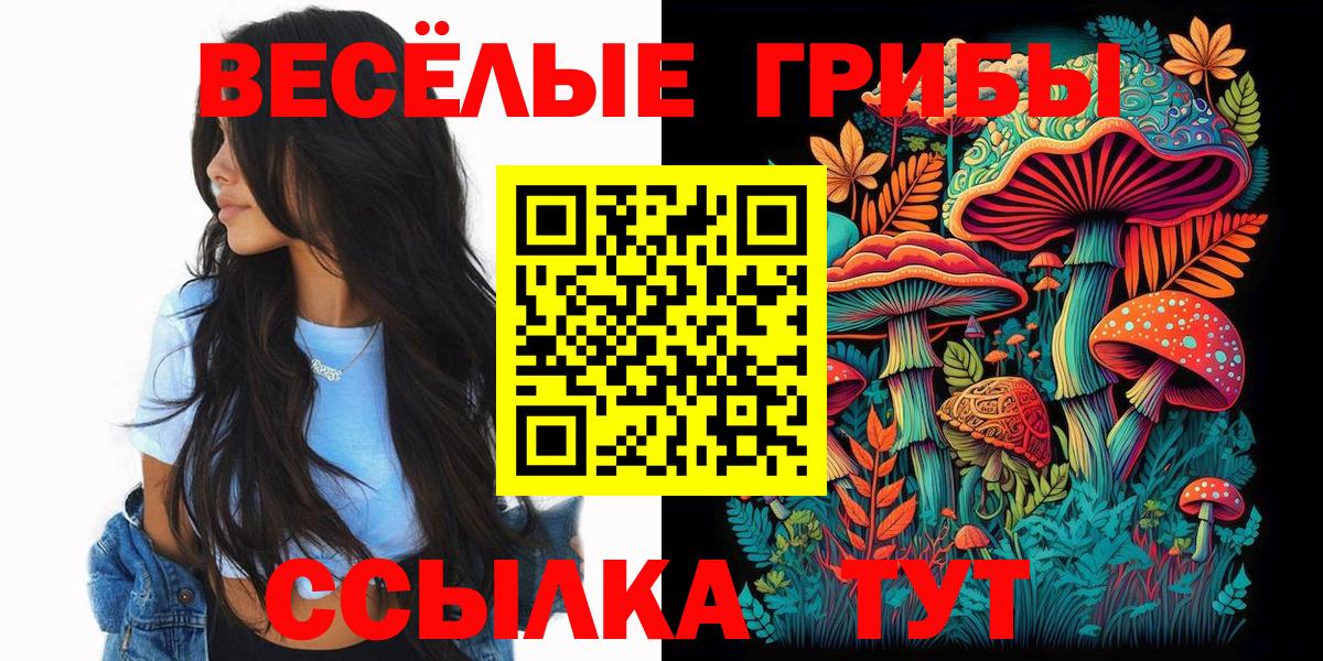 Псилоцибиновые грибы мицелий Муром