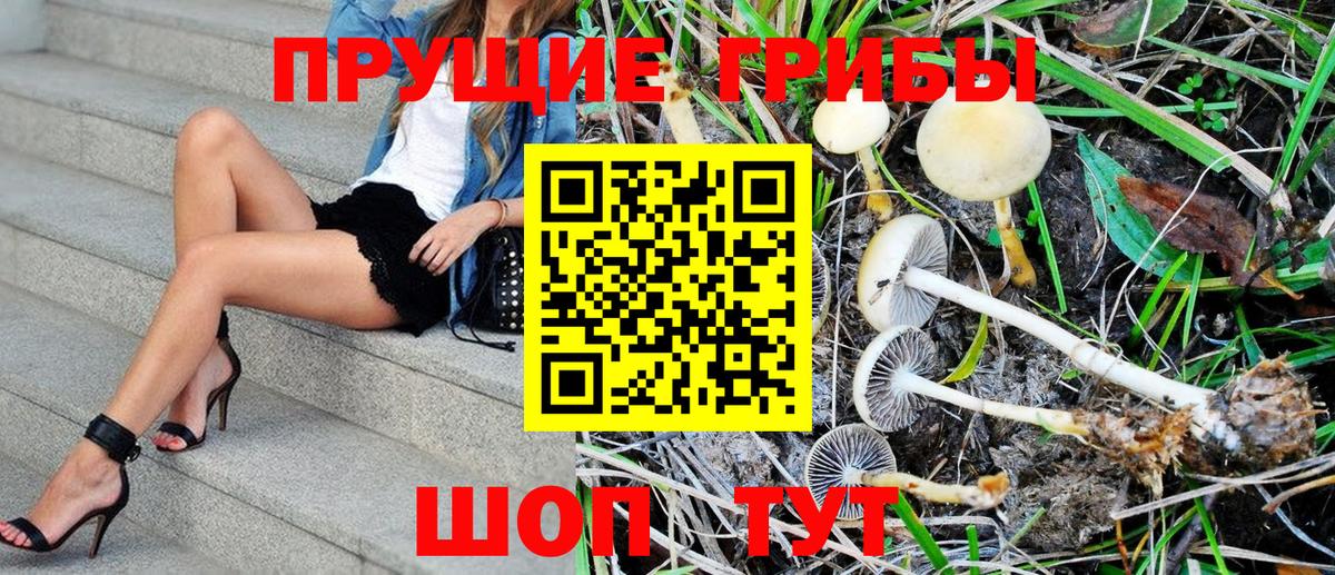 Муром  Псилоцибиновые грибы Magic Shrooms  Галлюциногенные грибы GOLDEN TEACHER  Вход с VPN 